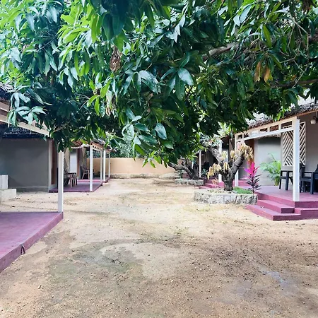 Hampi Village Jungle Resort-3